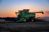 Wheat Harvest {2024}